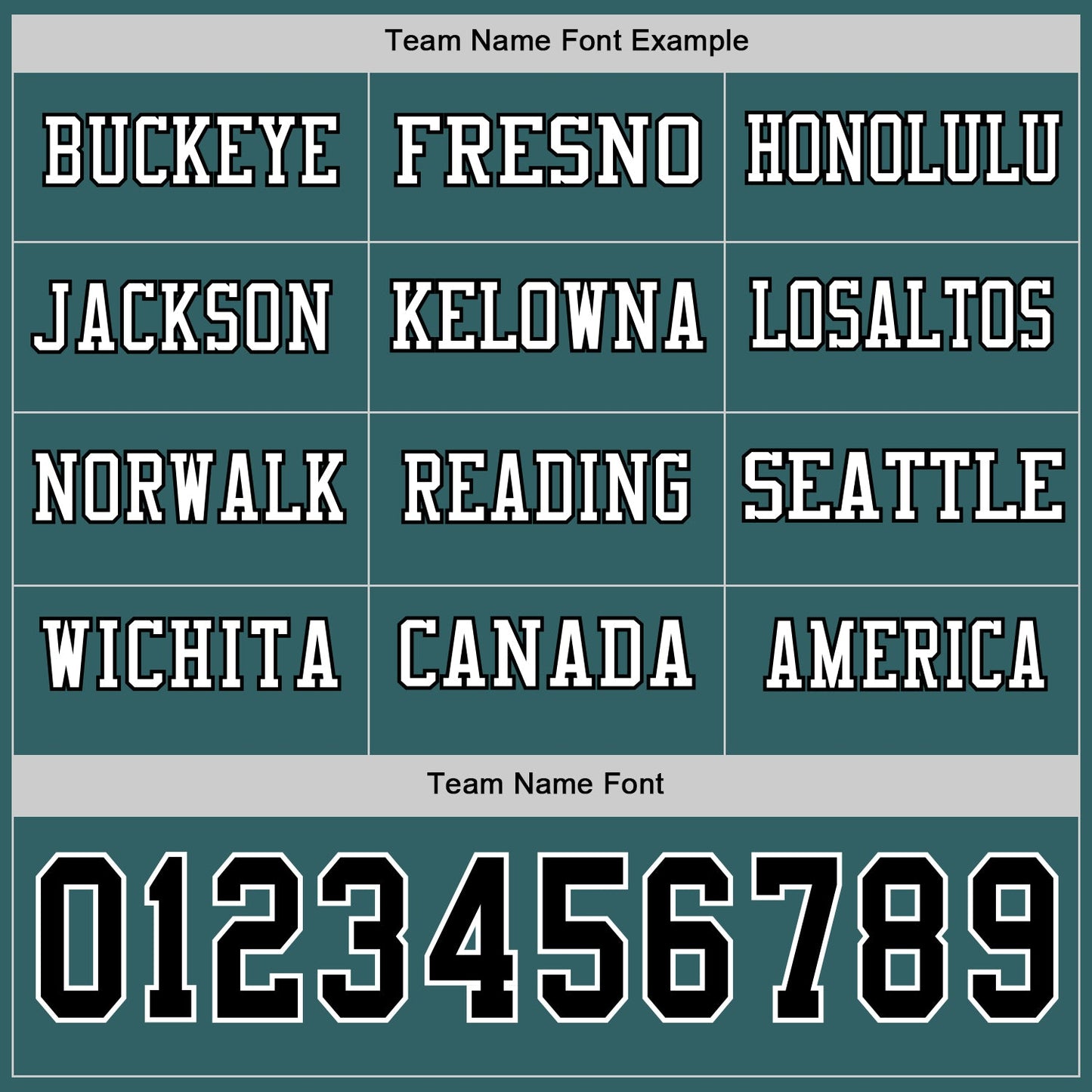 Custom Midnight Green Black-White Long Sleeve Authentic Football Jersey Limited