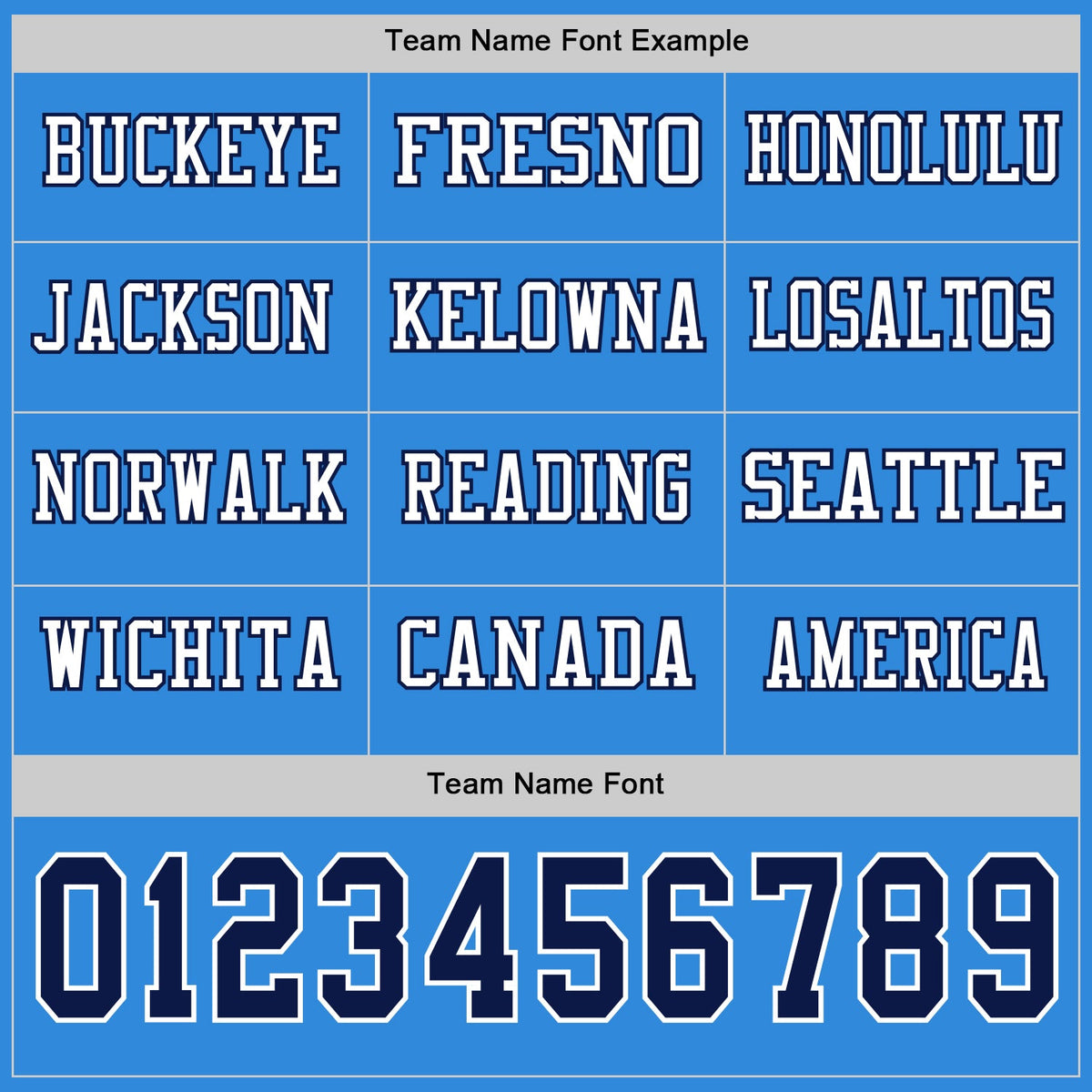 Custom Powder Blue Navy-White Long Sleeve Authentic Football Jersey Limited