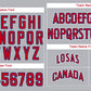 Custom Gray Red-White Bull Classic Style Authentic Baseball Jersey Limited