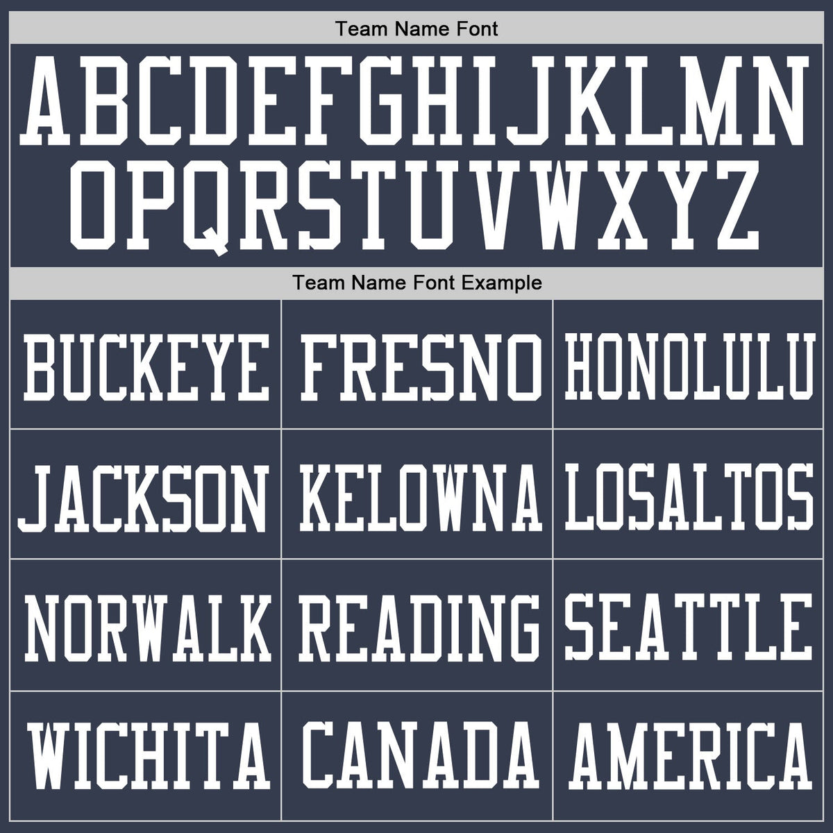 Custom Navy White Mesh Authentic Football Jersey Limited