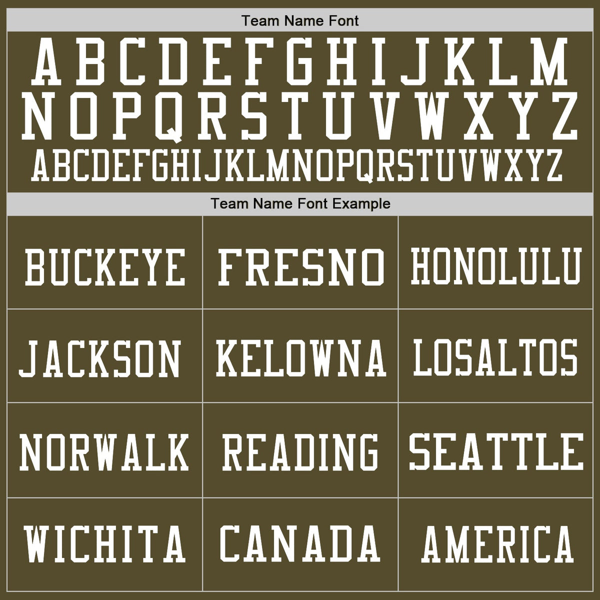 Custom Olive Vintage USA Flag-White Mesh Authentic Salute To Service Football Jersey Limited