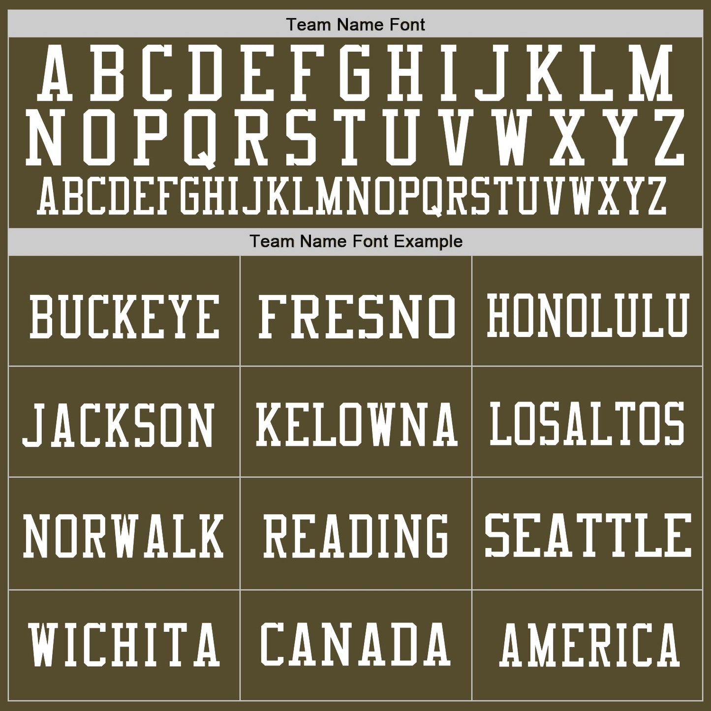 Custom Olive Vintage USA Flag-White Mesh Authentic Salute To Service Football Jersey Limited