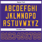 Custom Purple Purple-Gold Mesh Authentic Football Jersey Limited