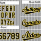 Custom Gray Black-Gold Stripe Fashion Authentic Baseball Jersey Limited