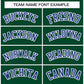 Custom Green Royal-White Classic Style Hockey Jersey Limited